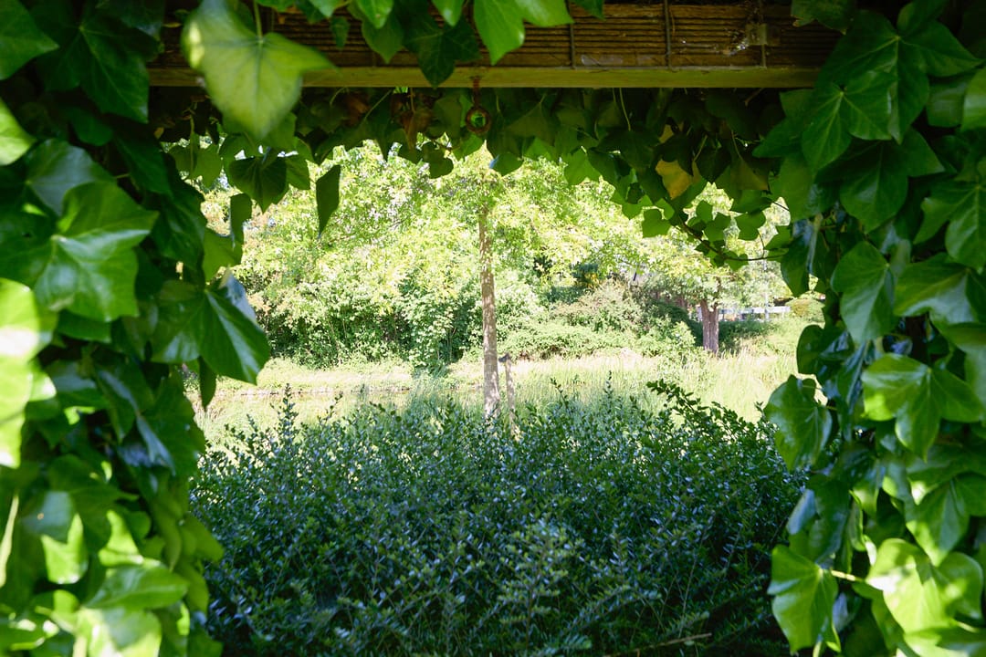 Photo 61 of Molenhof 100