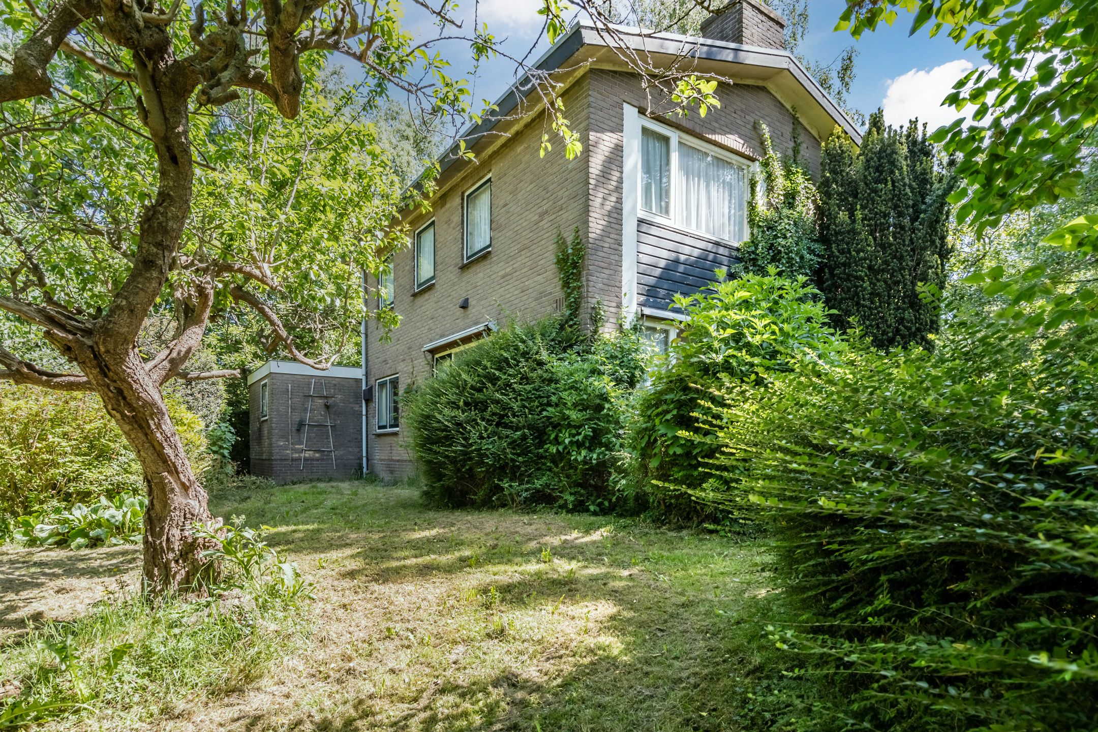 Foto 6 van Zandweg 217