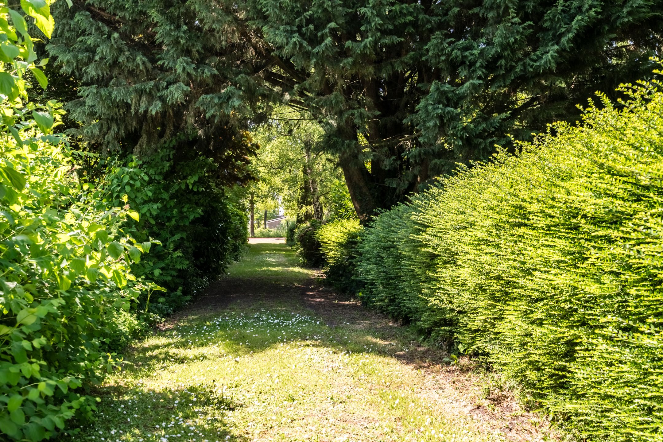 Foto 9 van Zandweg 217