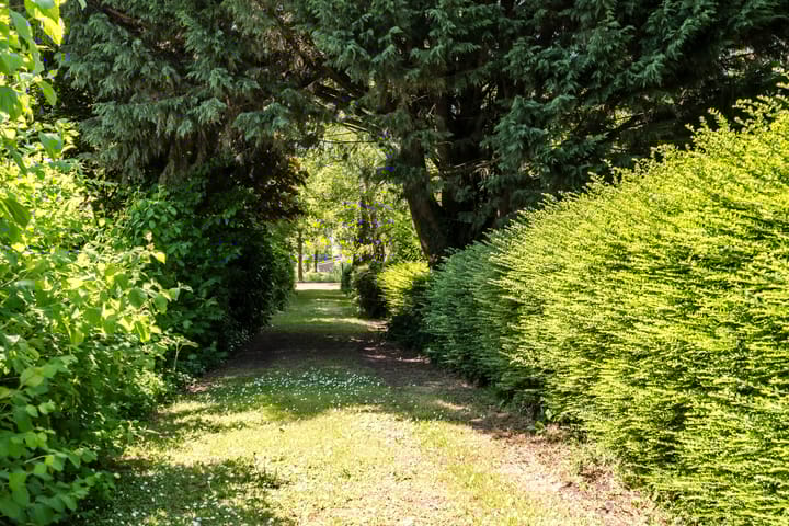 Foto 9 van Zandweg 217