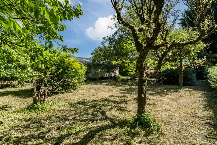 Foto 10 van Zandweg 217