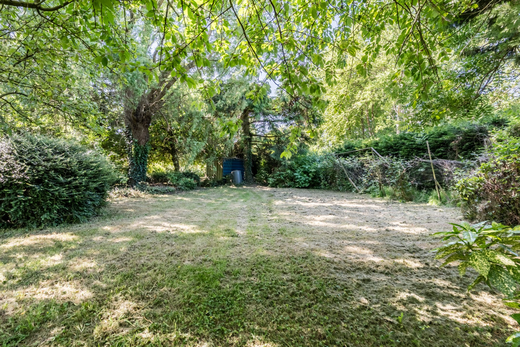 Foto 15 van Zandweg 217