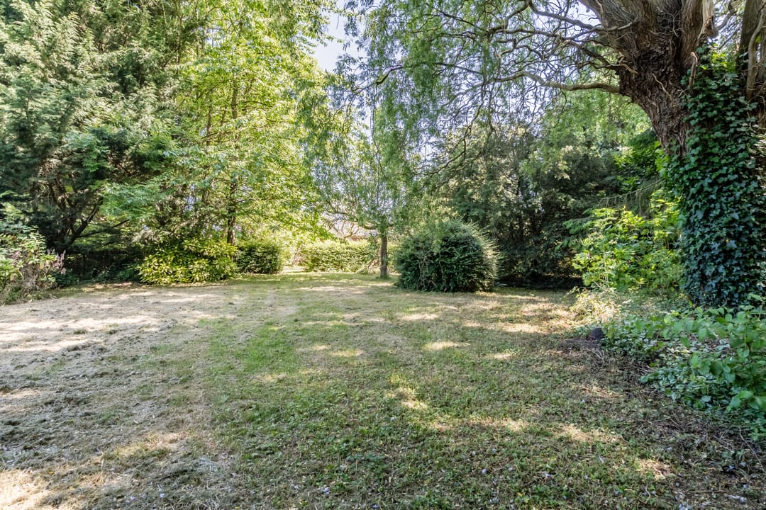 Foto 16 van Zandweg 217