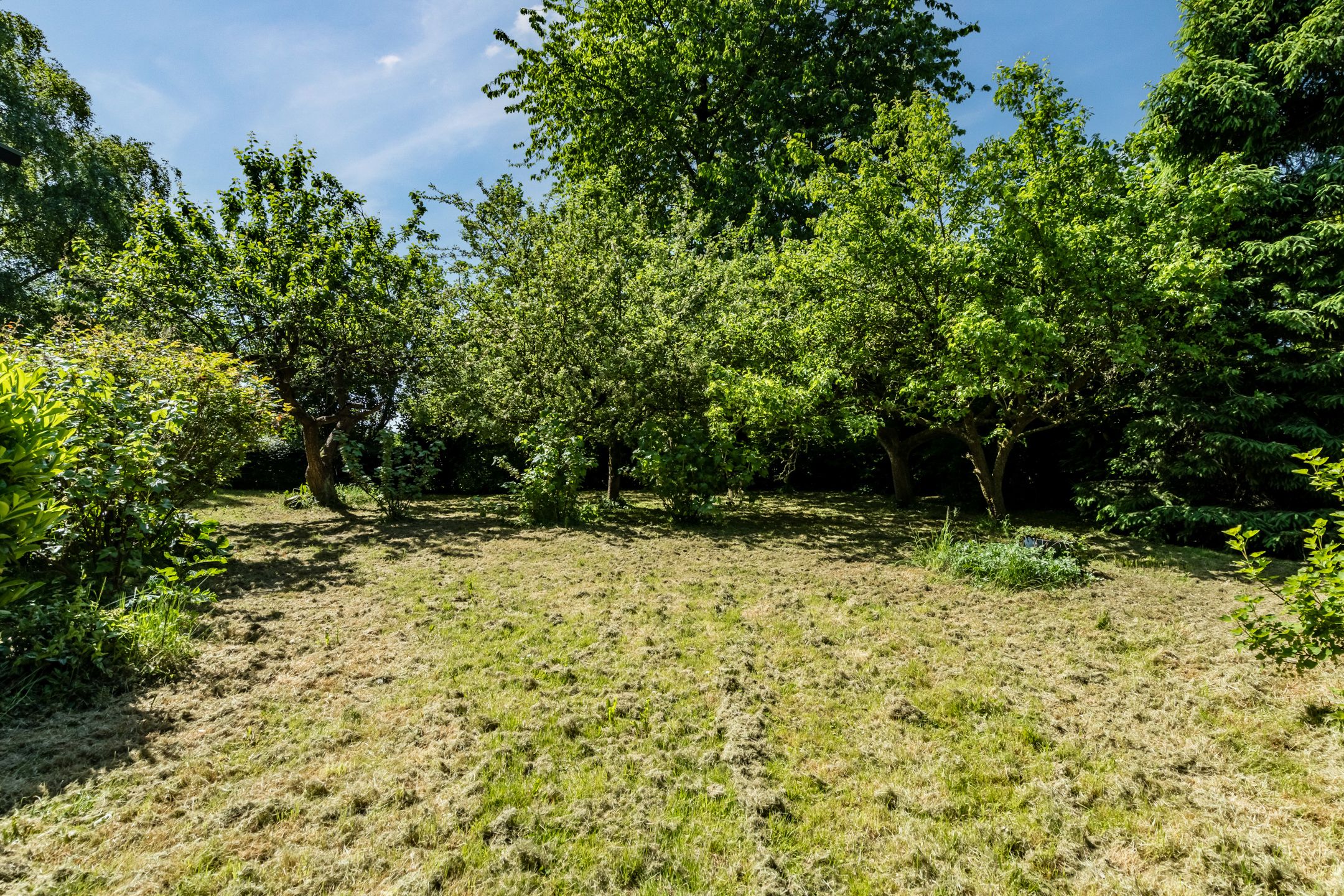 Foto 18 van Zandweg 217