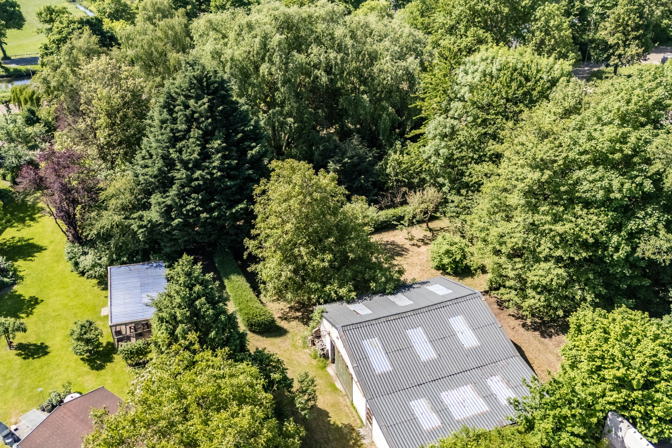 Foto 24 van Zandweg 217