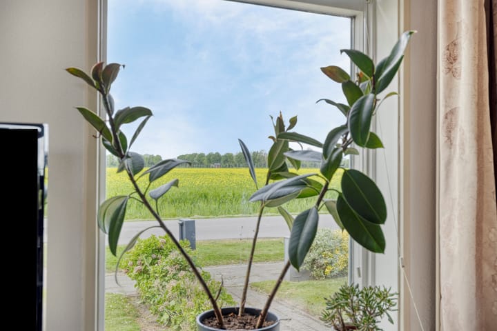 Foto 12 van Radsweg 48