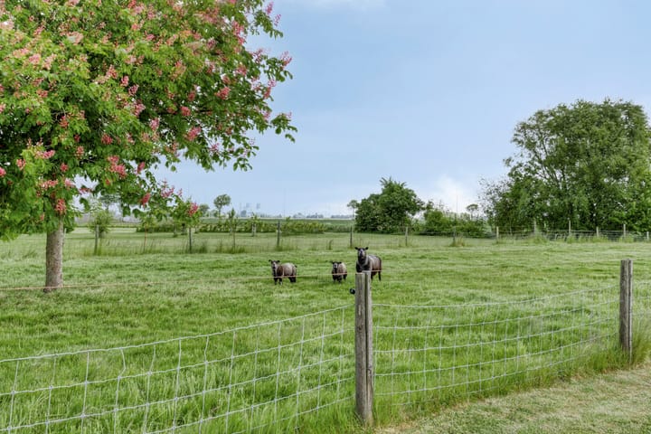 Foto 40 van Radsweg 48