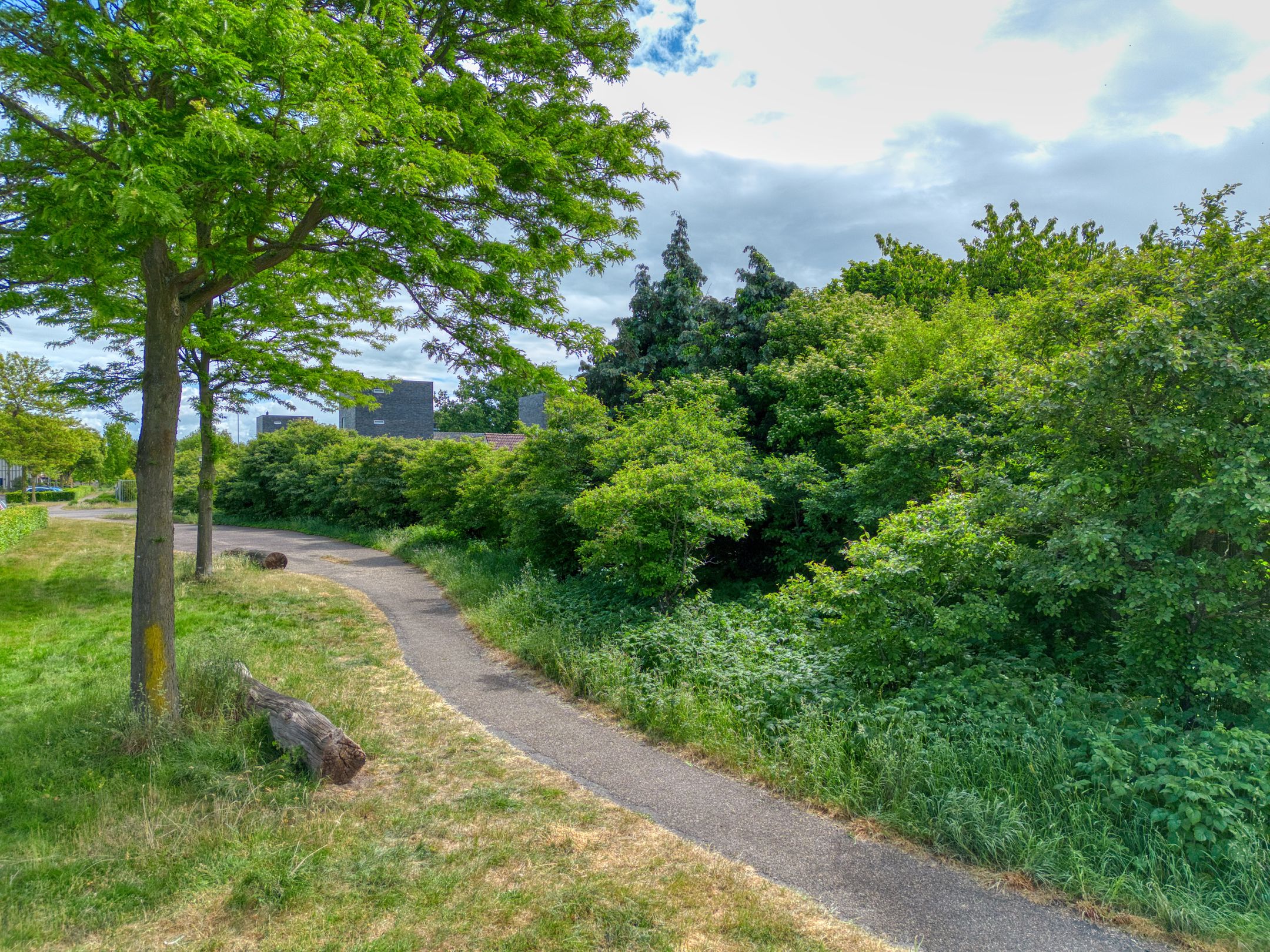 Foto 27 van Het Firmament 68