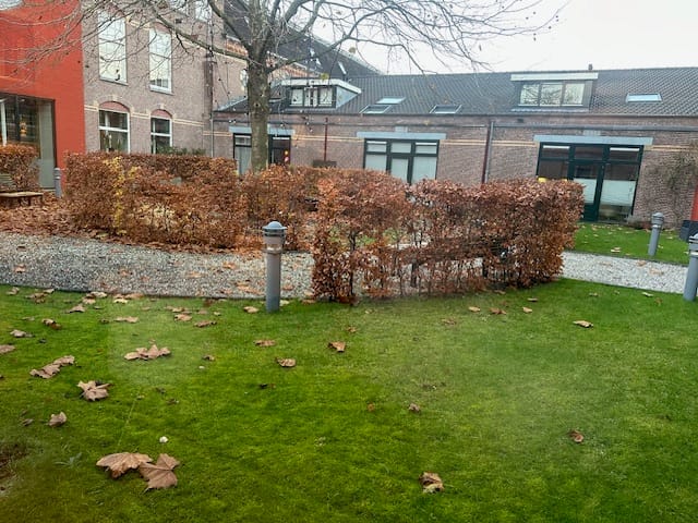 Foto 13 van Molenveldlaan 72