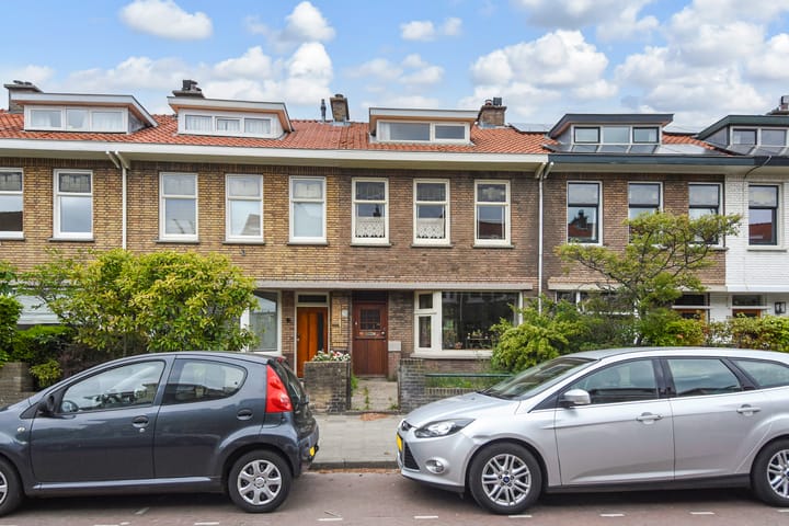 Tomatenstraat 253