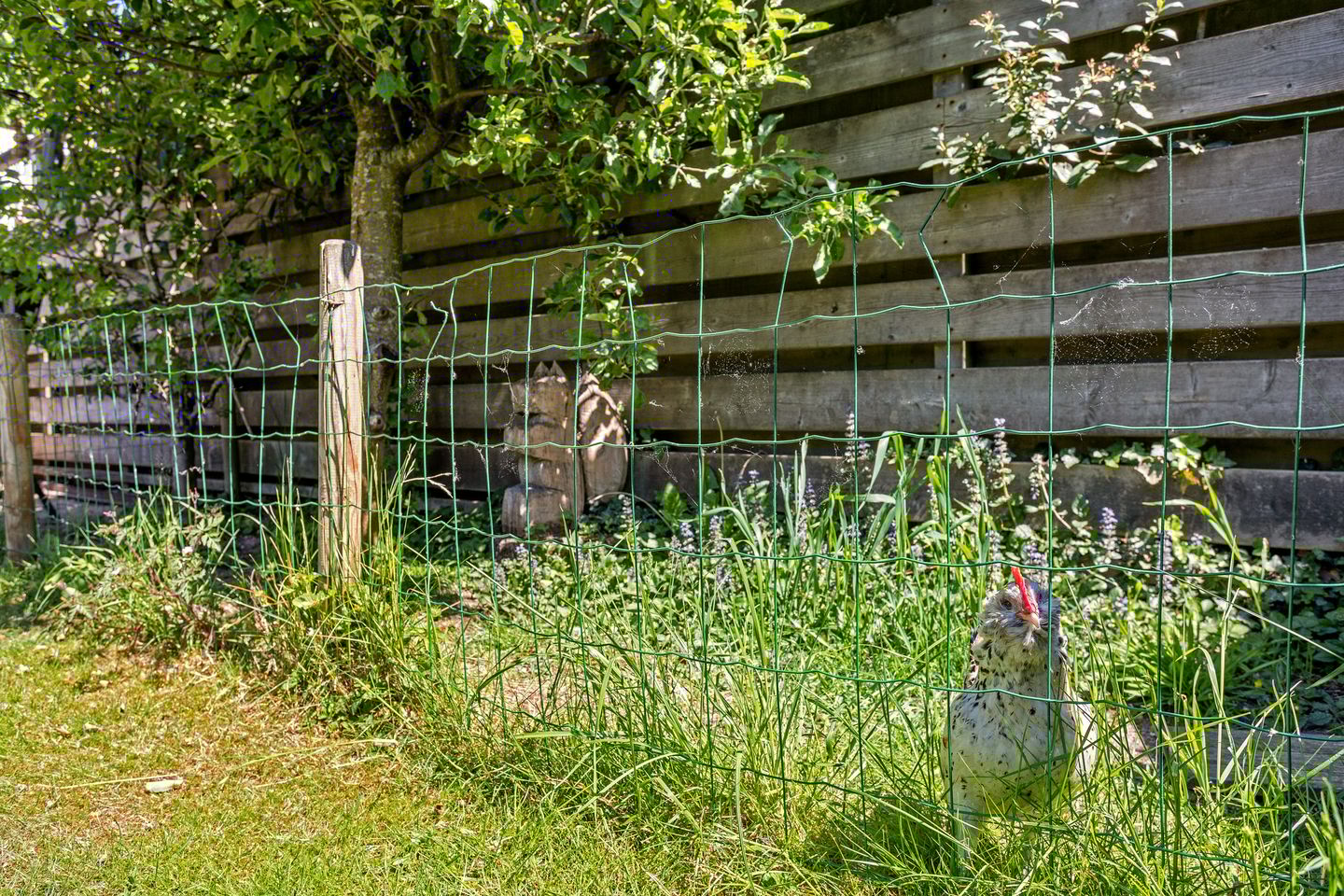 Foto 34 van Mezenveld 152