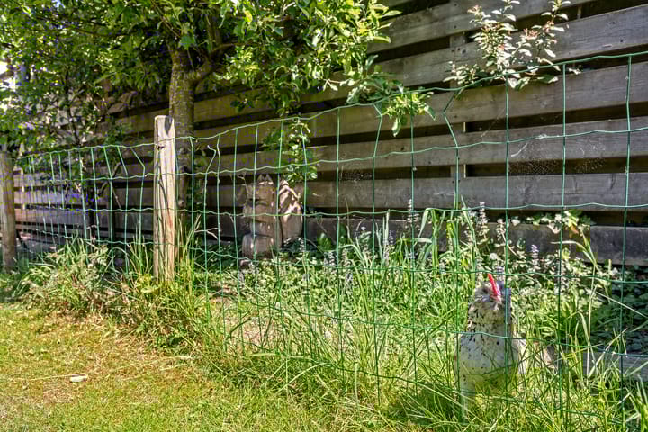 Foto 34 van Mezenveld 152