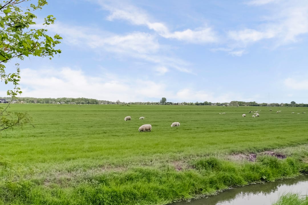 Foto 38 van Burg. S. Schagenstraat 7