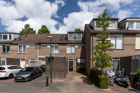 undefined main image