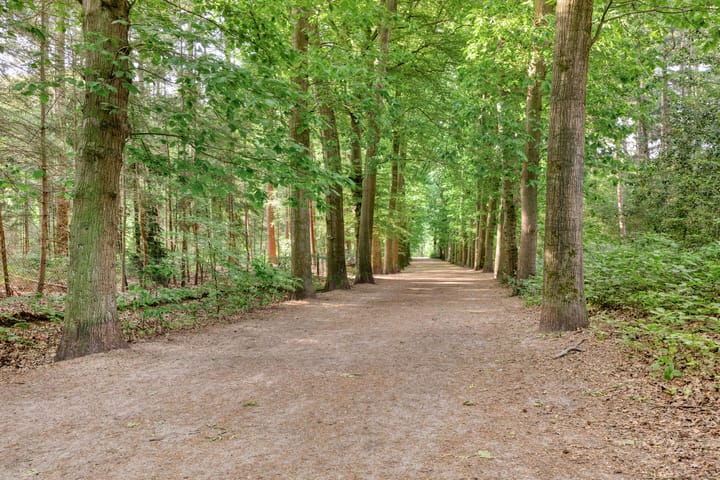 Foto 41 van Arnhemseweg-Zuid 274-B