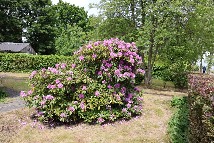 Photo 7 of Lekkumerweg 83