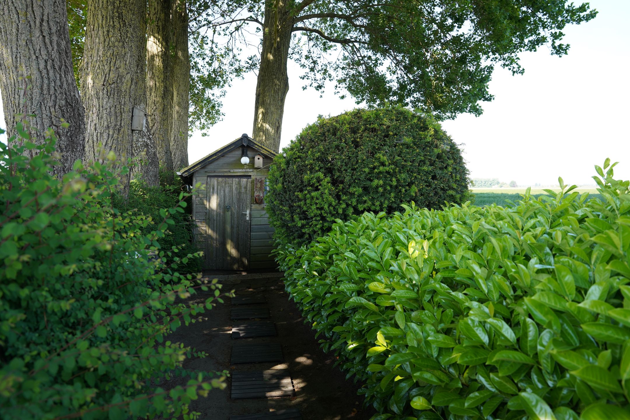 Foto 36 van Krommeweg 8