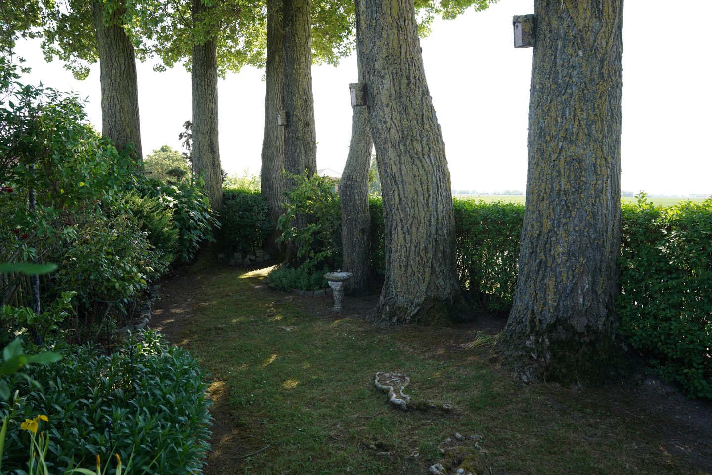 Foto 40 van Krommeweg 8