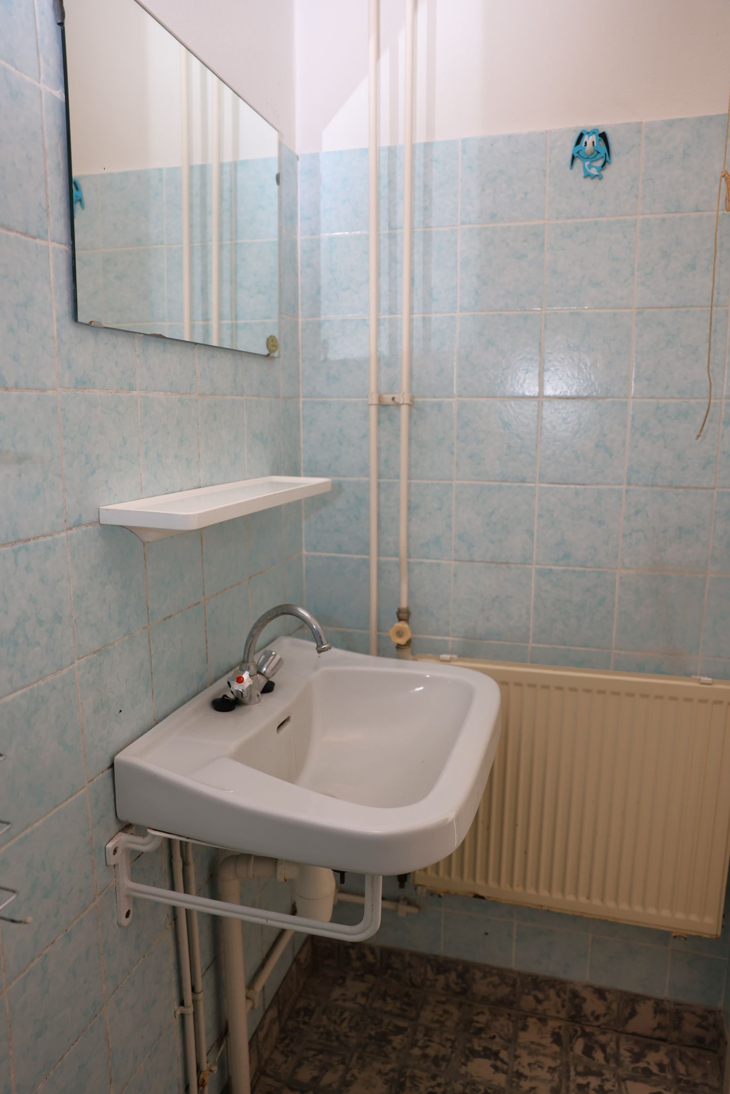 Foto 20 van Lekkumerweg 83