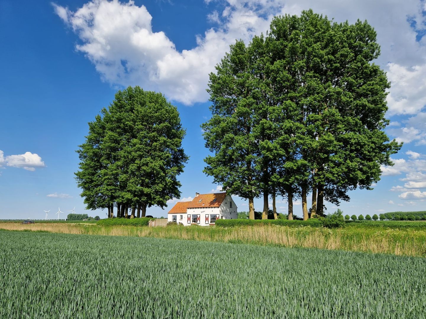 Foto 44 van Krommeweg 8