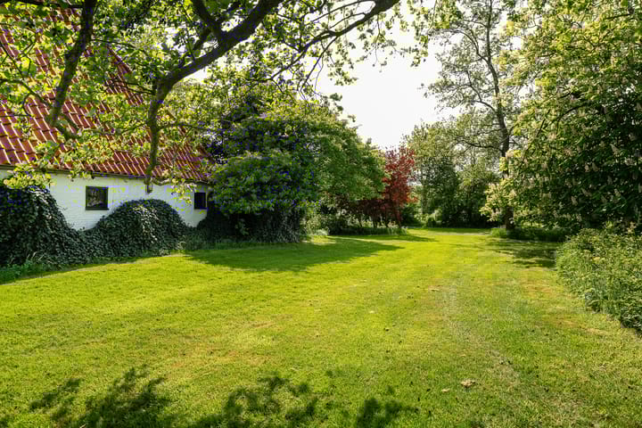 Foto 5 van de Plasse 4