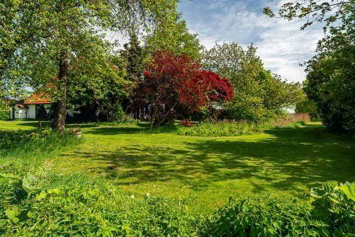 Foto 7 van de Plasse 4