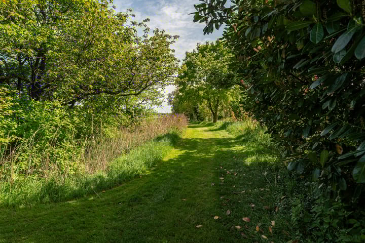 Foto 8 van de Plasse 4