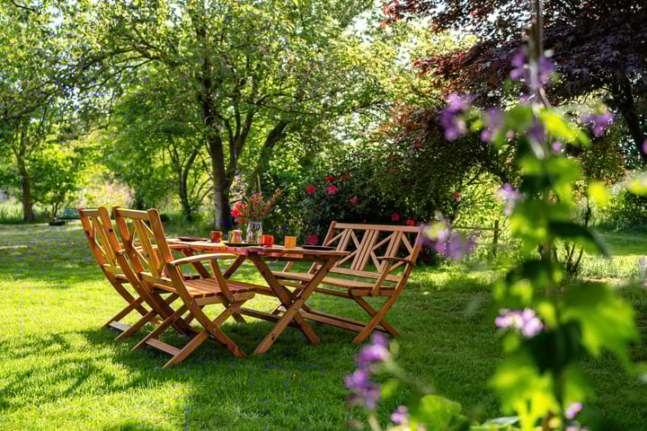 Foto 11 van de Plasse 4