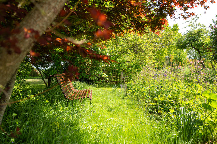 Foto 12 van de Plasse 4