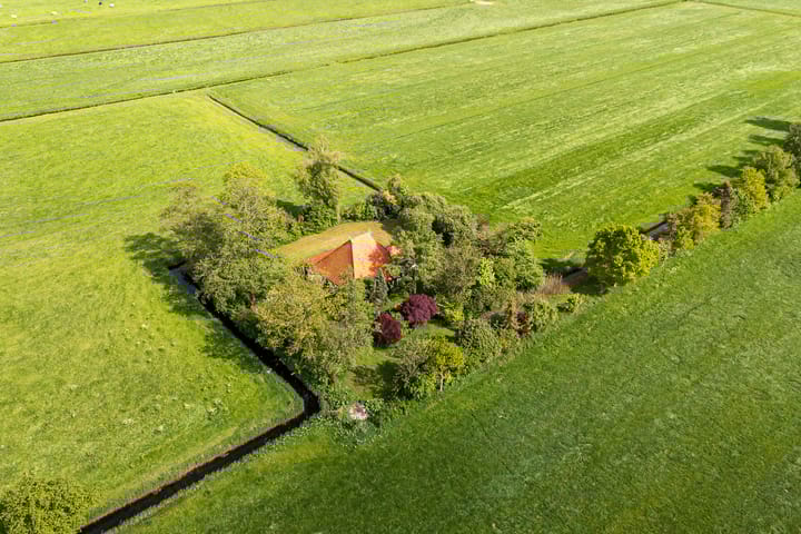 Foto 14 van de Plasse 4