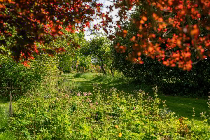 Foto 57 van de Plasse 4