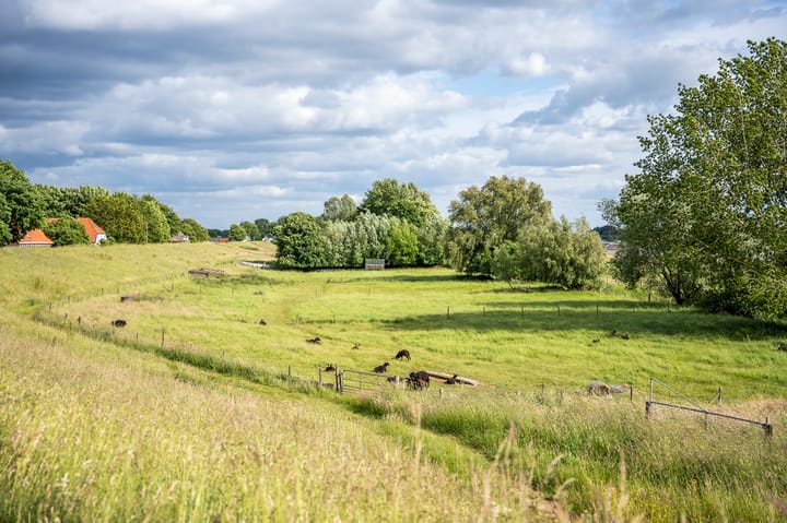 Foto 57 van De Hul 2