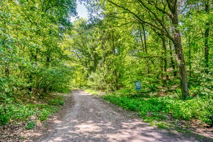 Photo 63 of Schoolstraat 2