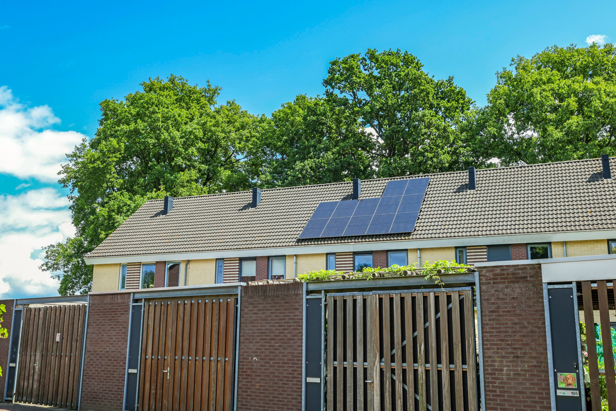 Foto 60 van M. Vasalisstraat 181