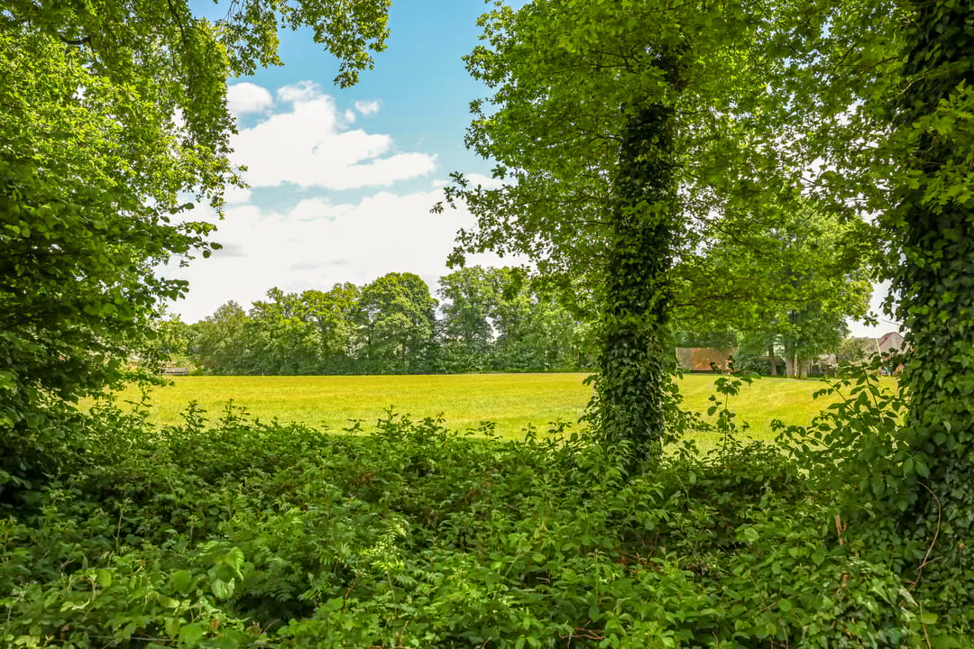 Foto 67 van M. Vasalisstraat 181