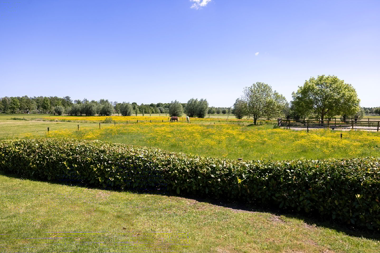 Foto 65 van Schellerbergweg 33