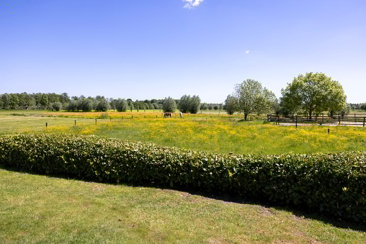 Foto 65 van Schellerbergweg 33