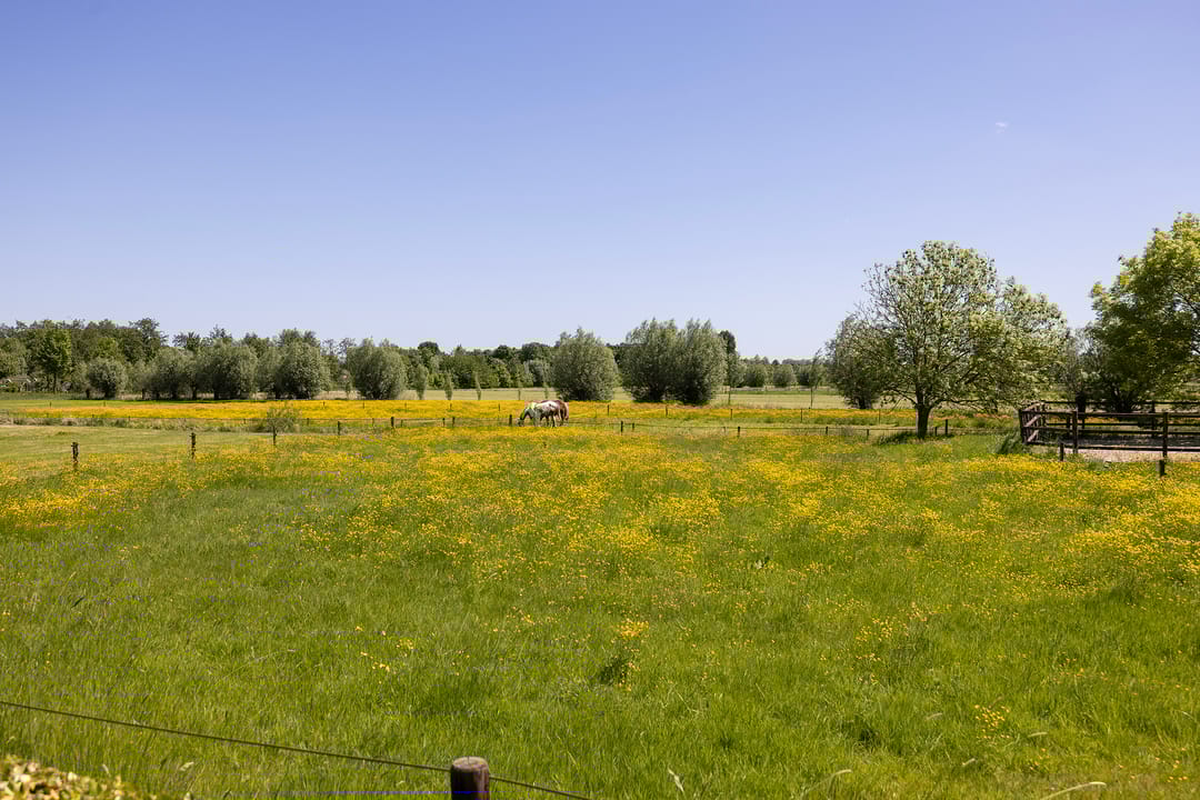 Foto 67 van Schellerbergweg 33