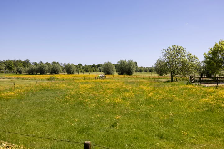 Foto 67 van Schellerbergweg 33