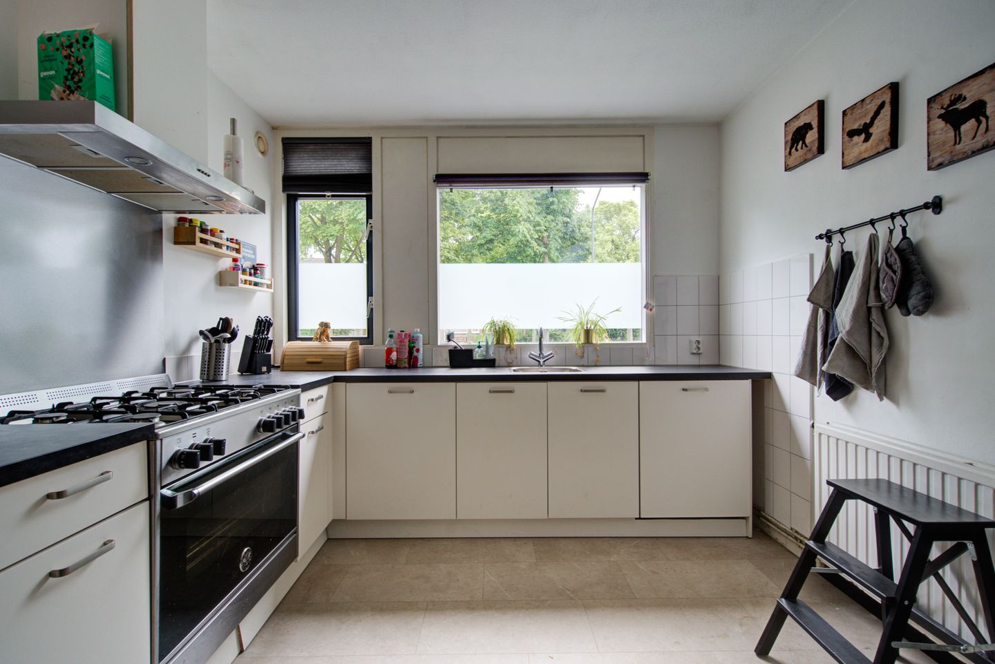 Photo 4 of Desselaar 13