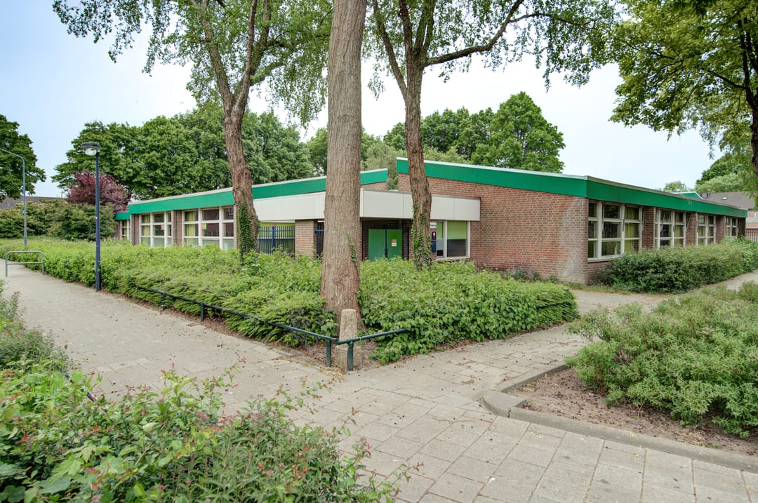 Photo 41 of Desselaar 13