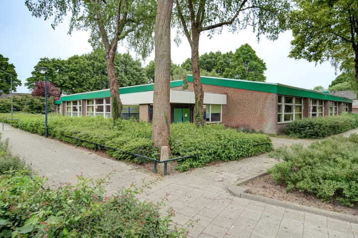 Photo 41 of Desselaar 13