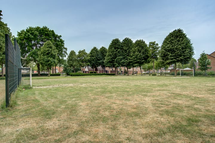 Photo 42 of Desselaar 13