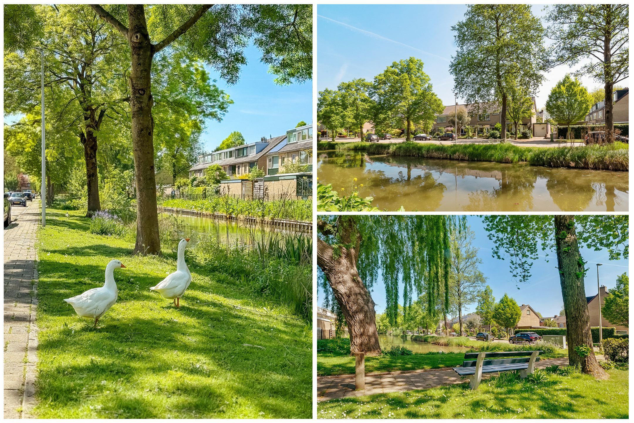 Foto 3 van Oudenrijnsingel 42