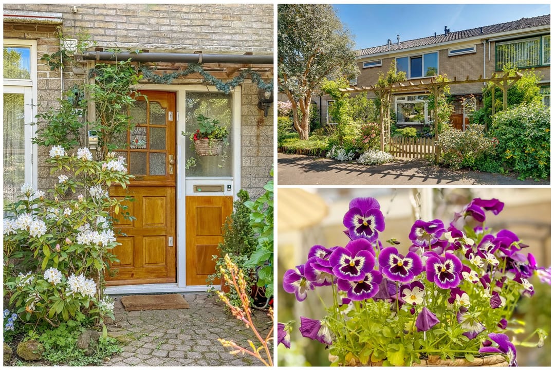 Foto 7 van Oudenrijnsingel 42