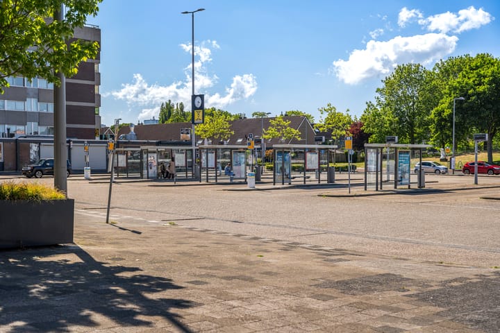 Foto 31 van Bijster 77