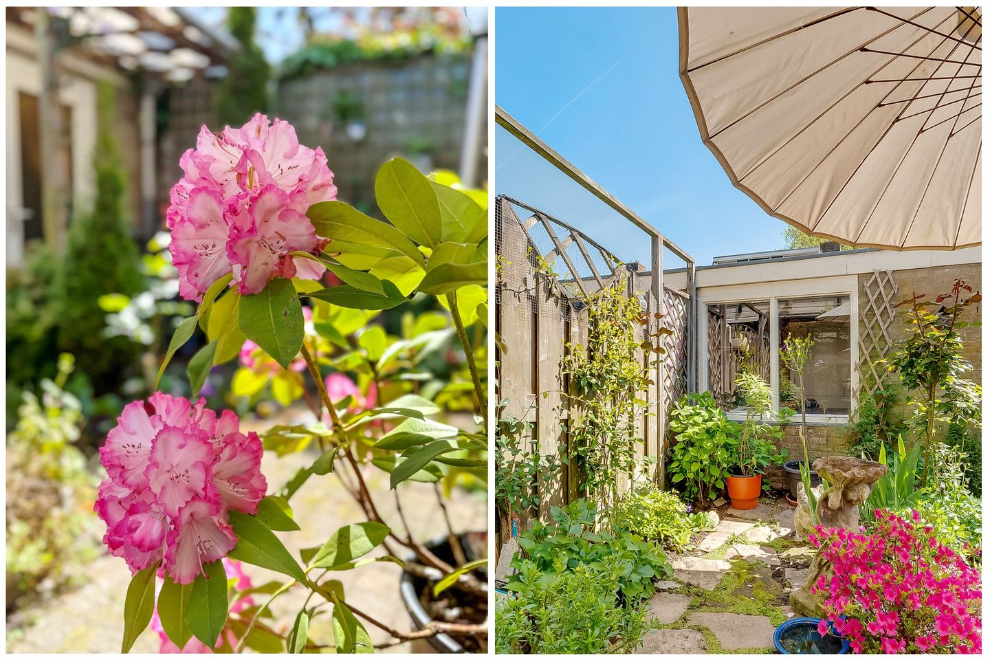 Foto 40 van Oudenrijnsingel 42