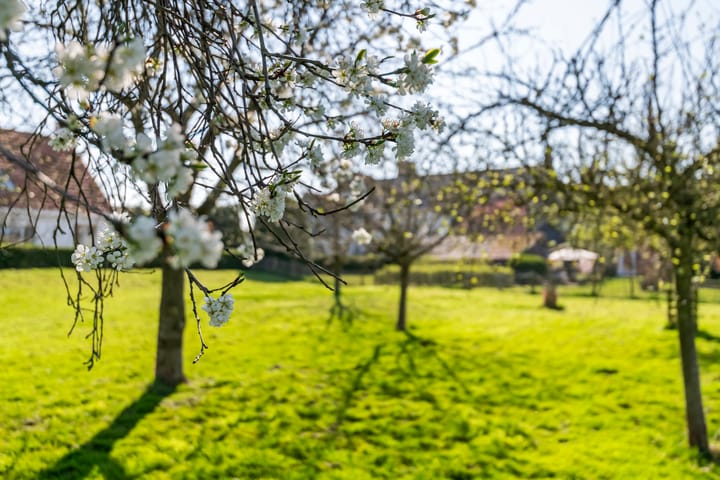 Foto 61 van Dorpsstraat 56