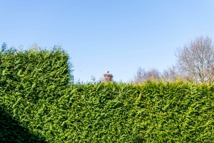 Foto 62 van Dorpsstraat 56