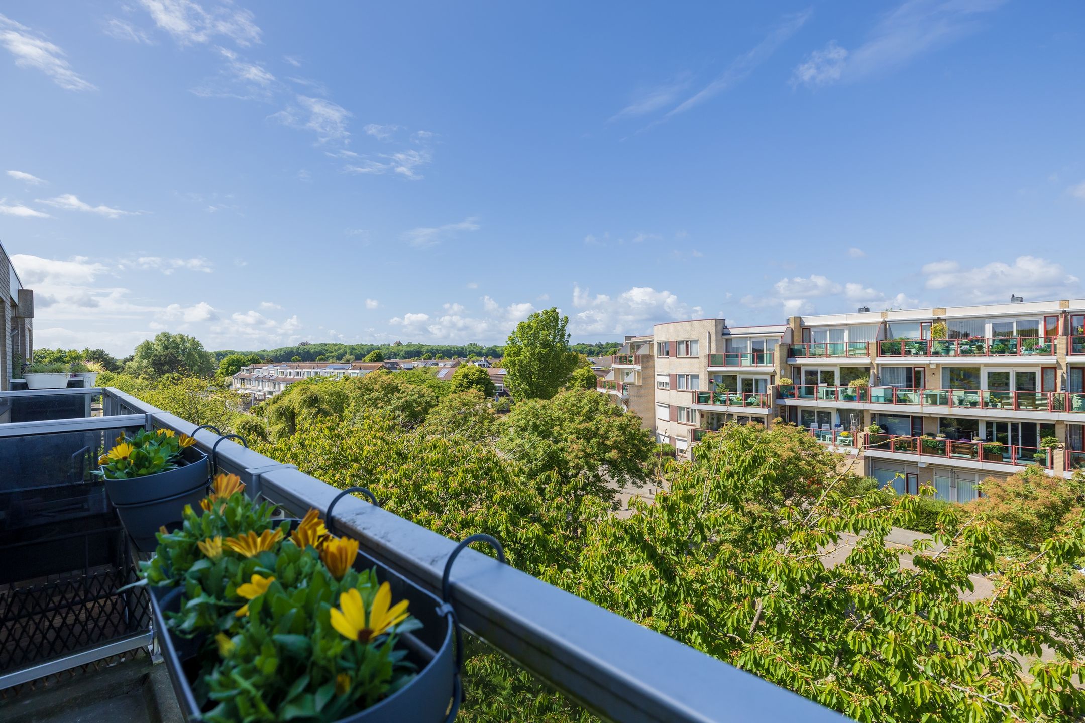 Foto 30 van Zandbank 38